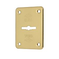 Декоративная накладка CISA 06082.0 (наружная) латунь полированная